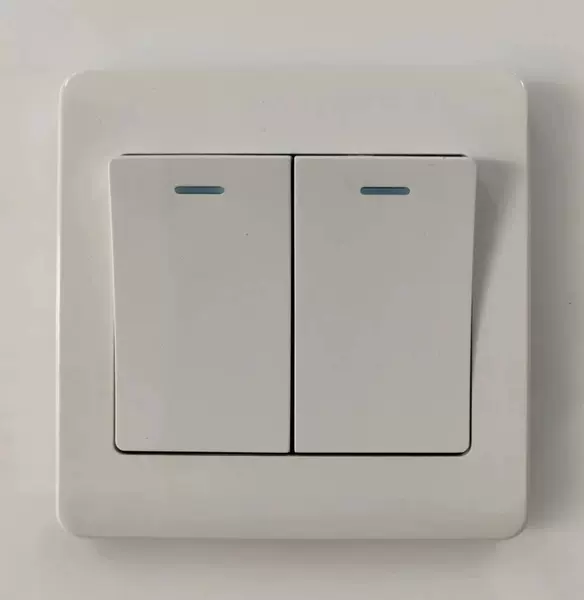 Two position double control switch