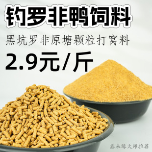 �ڿ�������_�Ǵ��w���C�Ϸ�ĩ��ζ��C��~����Ƥ���w�����l�D��