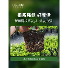 ���ٵĻ��@���������Ԙ�������л��ֲ̨�ﳣ�G���Bľ���_����