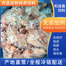 冷冻鸡架狐狸貂特养饲料肉食动物饲料冷冻鸡架带脖加工