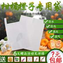 柑橘专用套袋粑粑柑不知火丑橘橙子橘子桃子芒果枇杷樱桃草莓石榴
