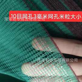 渔网布纱网鱼网布料围网片铺底密网格网纱鱼塘防逃围网固土护坡网