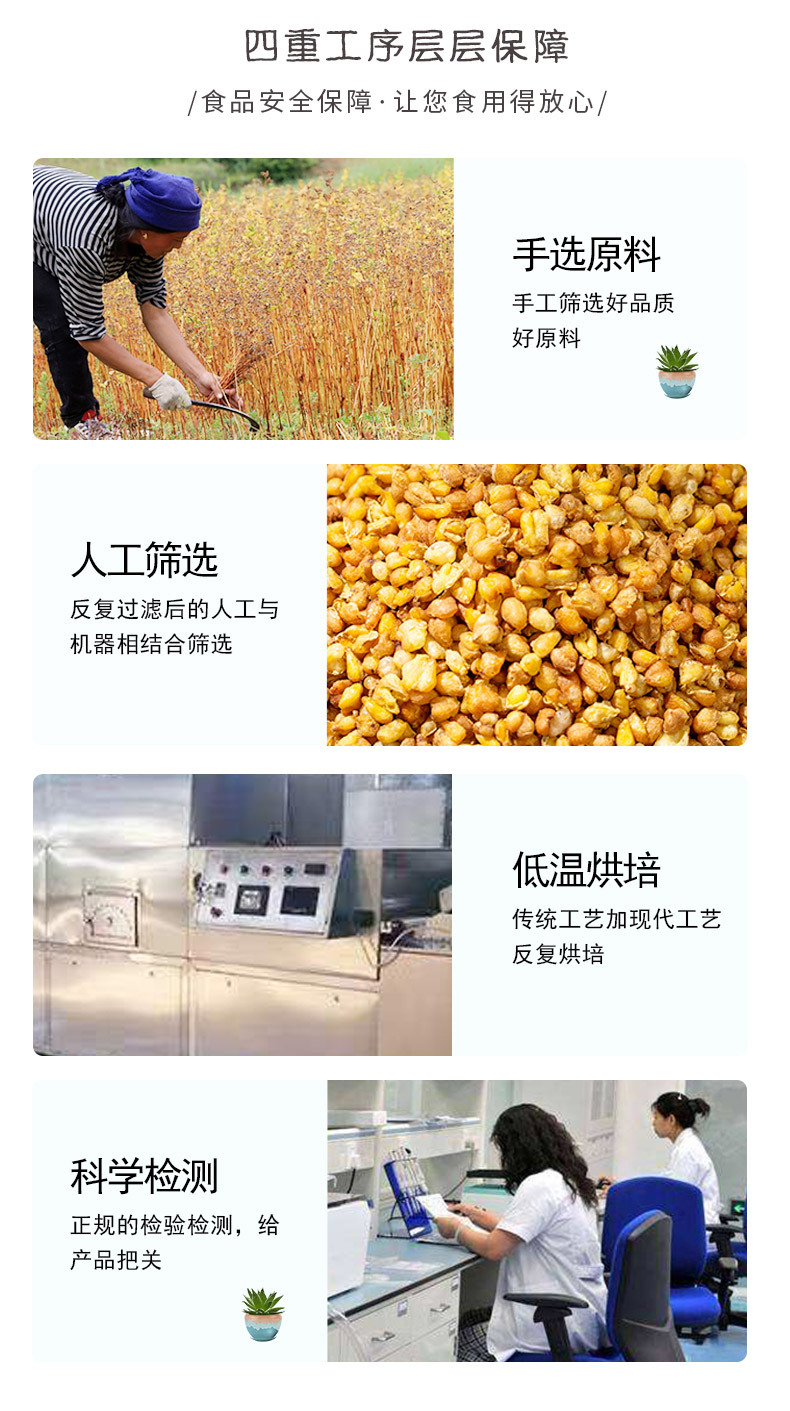 Tartary Buckwheat Tea Ku Qiao Cha Loose Grain Herbal Tea 500g Sugar Free from Sichuan quality and texture