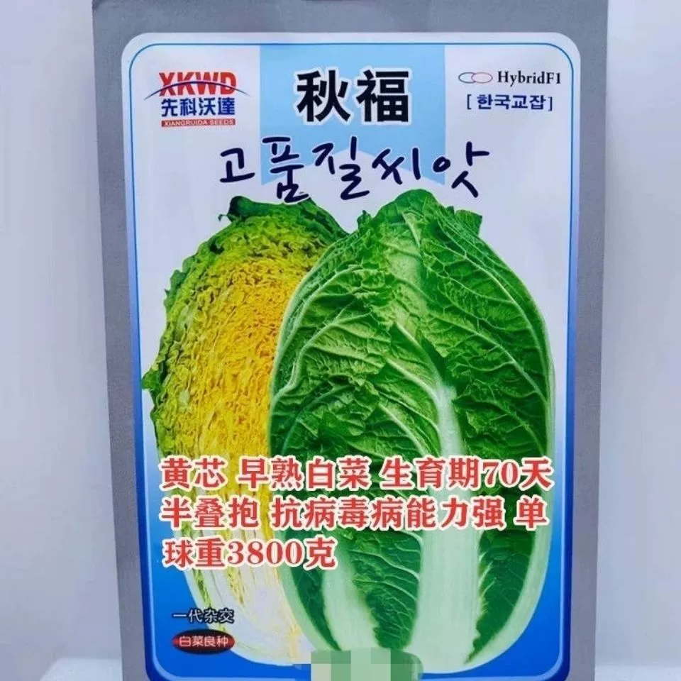 Цюфу Желтое Сердце Семена Капусты Желтый Сердечник Qiuhuang Большие Семена Капусты Зимнее Хранение Капуста Холодная Устойчивость Осень и Зима Посев Овощи Высокая Урожайность