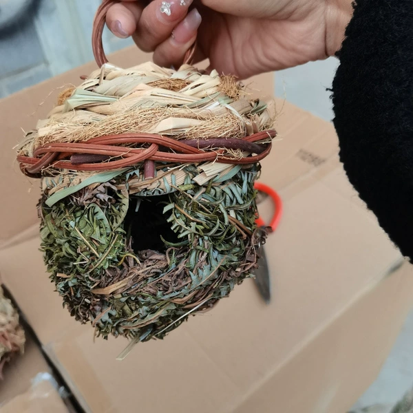 Recommended bird nests