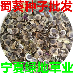 ����N�ӻ����ѹ�·�ԾG���������^�p���N��������N�ӻ��ܷN��