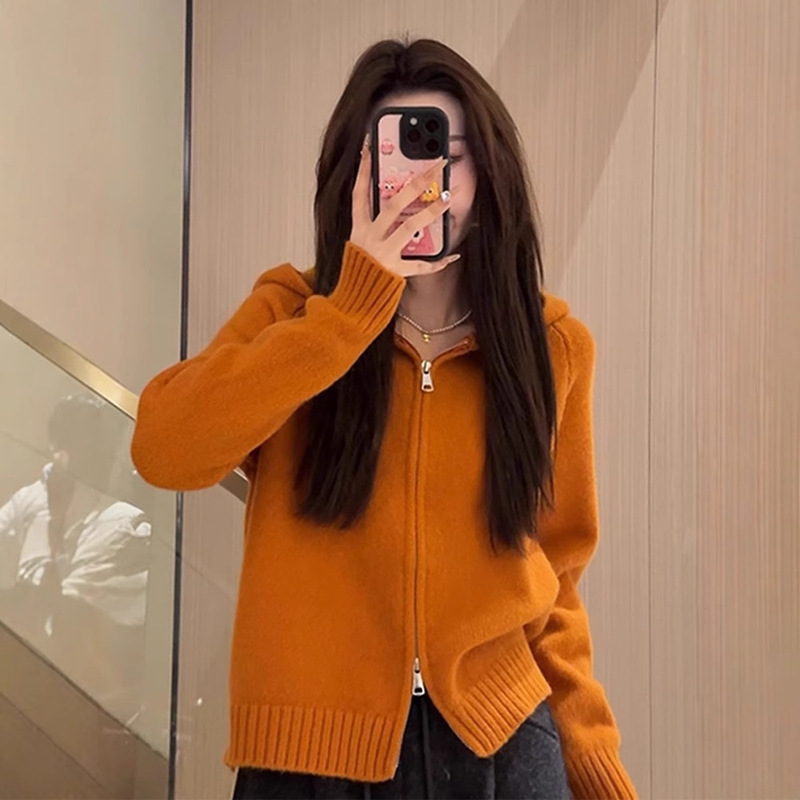 连帽毛衣女春秋慵懒感2025新款设计感韩系小个子短款针织开衫|undefined