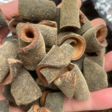 ټtƤϘëëټtƤƬƤ