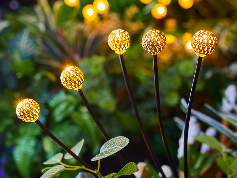 a5370388-039d-4b7a-92f6-95c13b