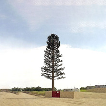 ������  䓽Y�������������� ��������ͨ���� �������F�����^��