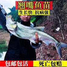 �N���~���׼��N�쵭ˮ�Bֳ�����N��ϡ���~�N�N��׵����~�����l