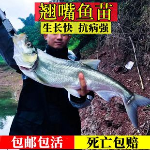 �N���~���׼��N�쵭ˮ�Bֳ�����N��ϡ���~�N�N��׵����~�����l