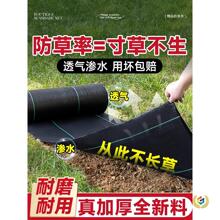 ���ݲ����ݲ����ù��@����ز���Ĥ�S��ֱ�N�����ڲݷ��L�ݲ�