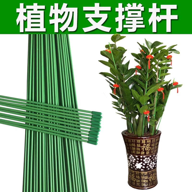 Money Tree Support Rod Orchid Green Plant Fixing Rod Bracket Flower Flower Stand Flower Pot Plant Anti-reverse Inserting Rod Fixer