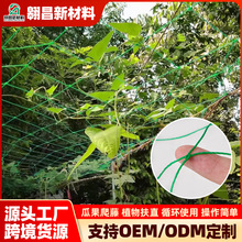 植物爬藤网 花卉藤曼网锁边葡萄黄瓜爬藤搭架瓜果蔬菜园艺种植网