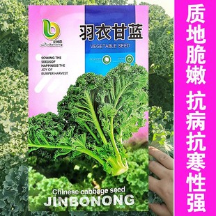 ʳ�ð��~���¸��{�N���͟���{�N�Ѵ��ﶬ�ļ��̨�����߲˷N��