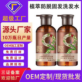 防脱固发洗发水定制贴牌养发育发防脱去屑止痒控油洗发露OEM代工