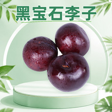 河南西峡黑宝石李子 批发代发2/3/5斤酸甜黑布林礼盒彩箱新鲜水果