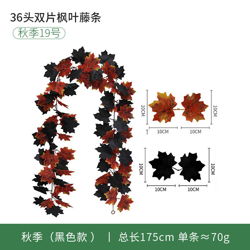 36 Top Autumn No. 19