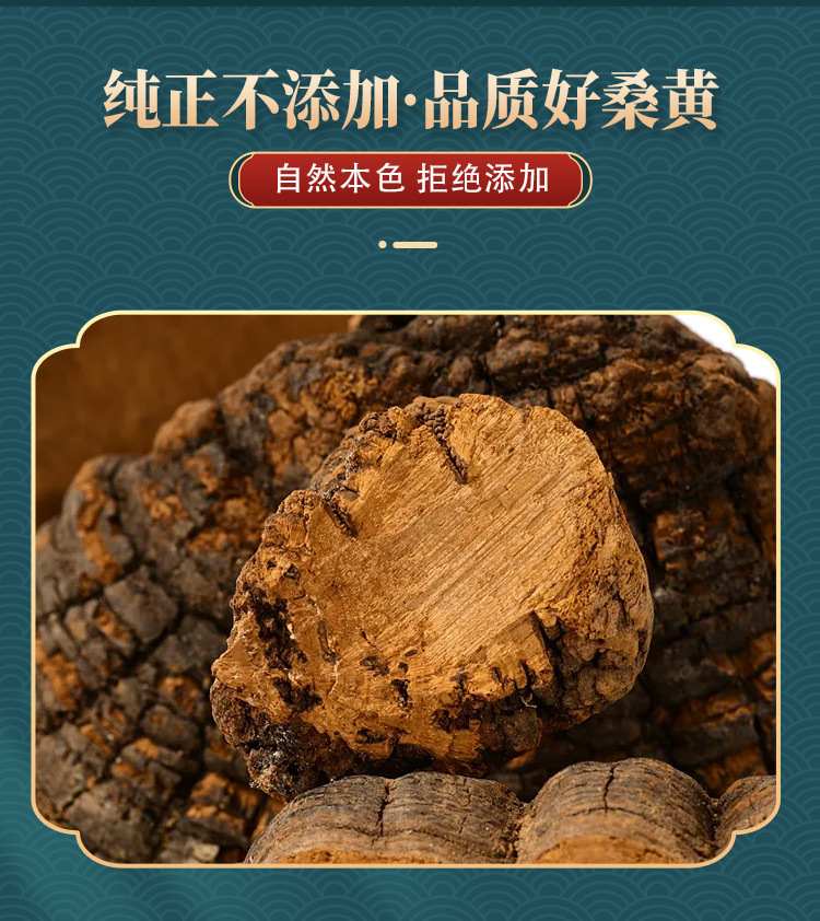 Wild Changbai Mountain Sang Huang Mushroom Slices Traditional Chinese Herbal Decoction Ingredient quality and texture