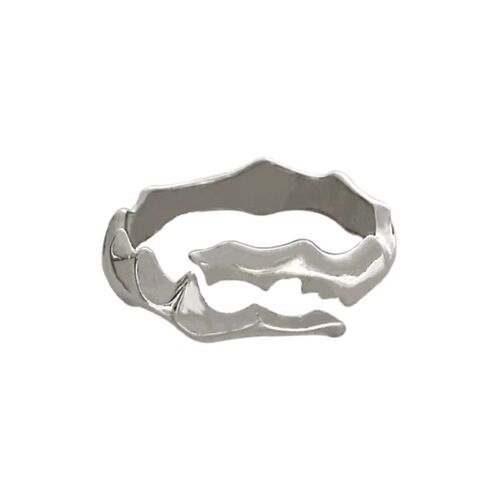 Irregular rings for men and women, ins cold style, trendy niche design, men's single rings, fashionable personalized rings