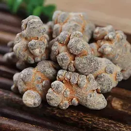 其他药食同源;三七;其他软饮料
