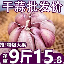 当季大蒜头干蒜5斤新鲜批发金乡山东紫皮9整箱斤新干蒜头蒜2023