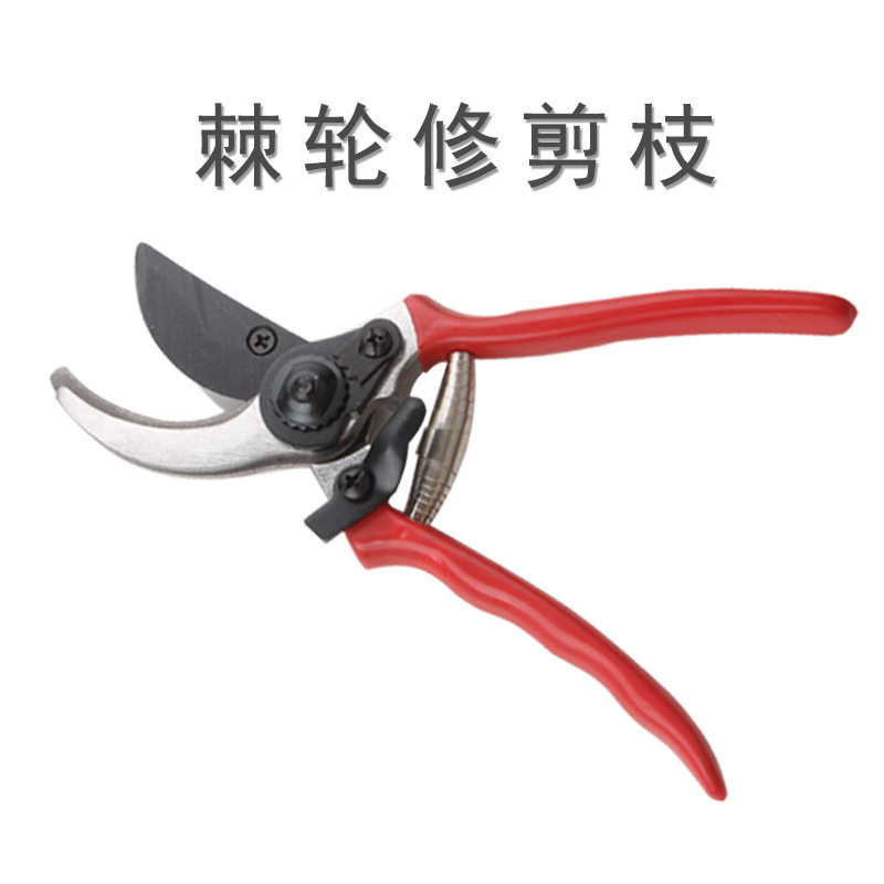 剪枝果树修枝剪刀园艺园林修花枝剪家用强力剪子神器花剪剪枝剪刀