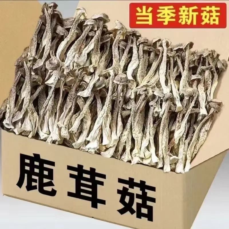 Seasonal new arrivals velvet antler mushroom dry goods Gutian antler mushroom fresh dry goods commercial wholesale crunchy mushroom 50g dropshipping