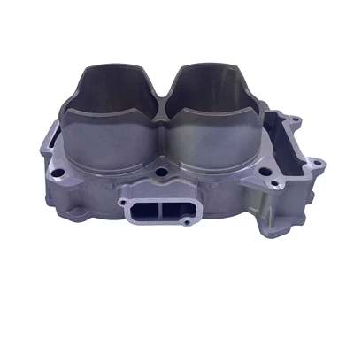 Sportsman 900 Cylinder, Cylinder and parts