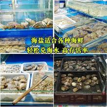 海水晶盐海盐海鲜养殖专用速溶素水族水产花蛤贝类海龟养寄居蟹盐