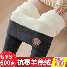 特厚羊羔绒加绒加厚打底裤女冬季新款外穿高腰紧身裤长裤保暖棉裤