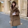 Chestnut color (real raccoon fur collar)