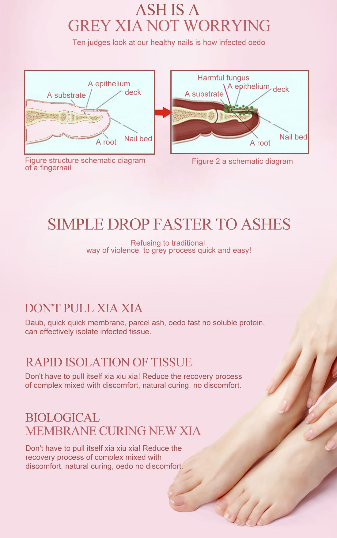 OEDO nail lotion OEDO016 HERBAL NOURISHING FINGERNAIL Specification drawing