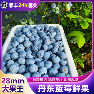 ���|���|�����{ݮ�r���a��ֱ�����@ֱ�l����һ��S����S���\