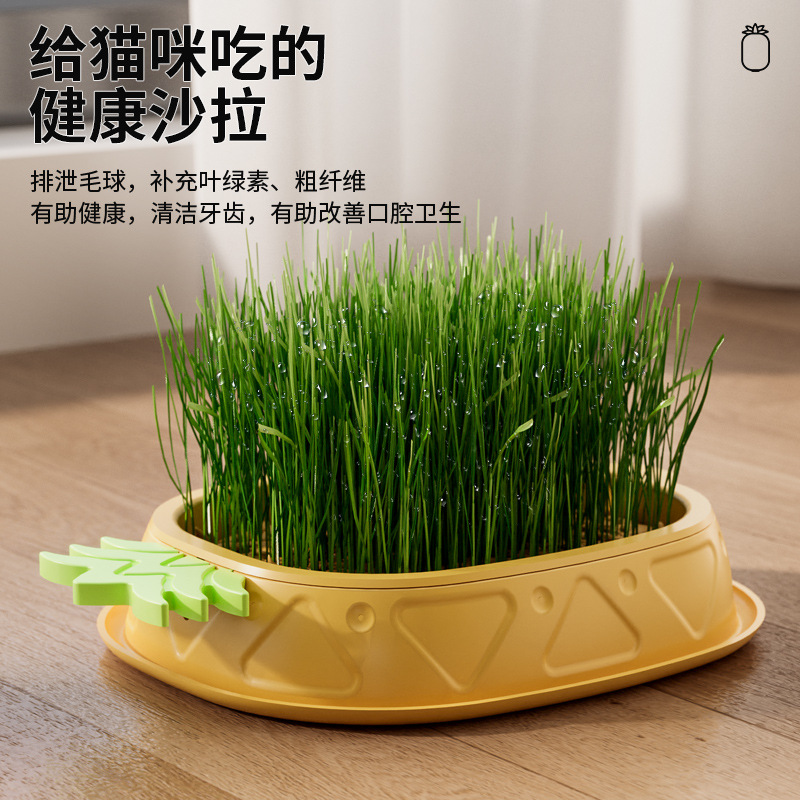 Caja de hierba de gato de piña original sin suelo diseño de capas hidropónicas para promover la digestión y el cultivo de la caja de hierba de gato