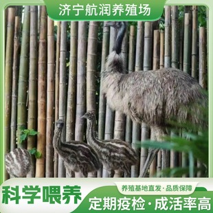 �^�p�r�Bһ���������̷����r�B���Bֳ�� ���۸����g�r�B�����l