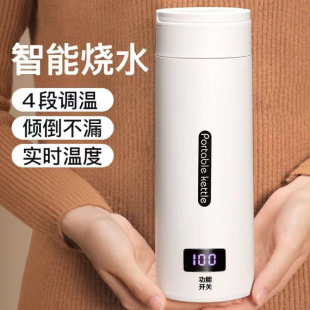 Portable Water Kettle, Small Mini Water Kettle, Travel Insulation Electric Hot Water Cup, Student Dormitory Health Cup