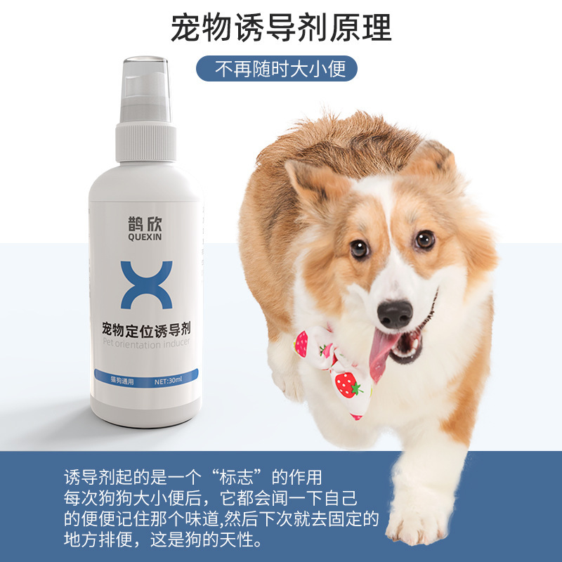 ペットの位置付けの排便誘導剤の犬はトイレの大きさを訓練します。|undefined