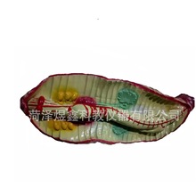 ������ģ��33104 �������� �̌W�x���S�ҹ���