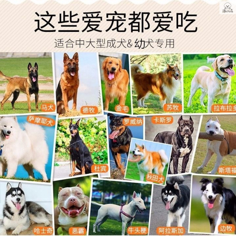 Bolsa de comida para perros Teddy de cabello dorado Bo Mei en cachorros perros grandes y pequeños. El Guangdong