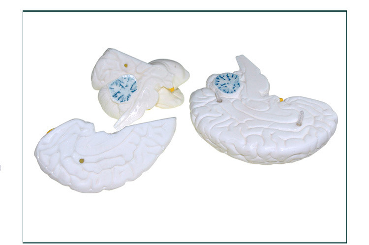 O1CN01s8q7ir2Kk6XlC1FIr_!!3578