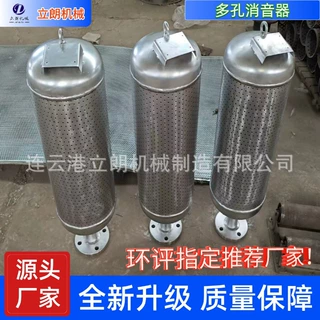 立朗LTA 蒸压釜消音器 蒸汽锅炉对空排汽消声器 小孔型减压降噪