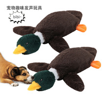 �羳������ߴ������ӷ���ë�q�l���؈����ż푼����˿�ҧĥ��