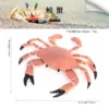 PL127-2223 Crab
