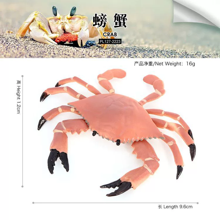 Реалистичная морская животная модель, обучающая игрушка, морское дно