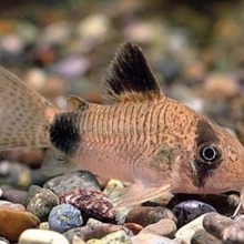 �^�p�~ �Ꭷ�~ ��؈�� ���~ �����~ �����~ ����� �׌��~