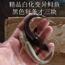 �\�~�¿������^�p�~�\���~�r���w������~���~�����\���~��ˮ�~�