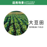 Zibo xinnongji kuo etyl carbosyfluorooroeth Seybean Fields Годовой широколиф