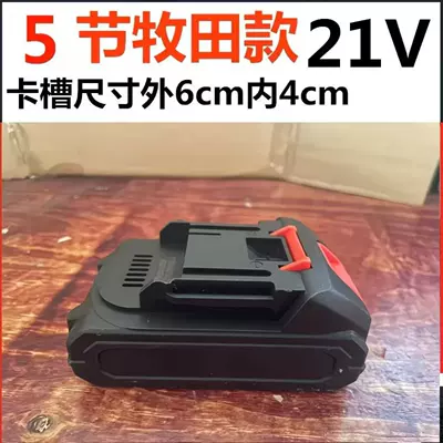 Car Wash Pump Water Gun, Wireless: Portable car washer - 24v-single-battery